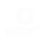 Servicii